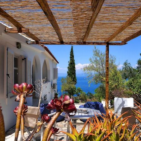 New! Paxoswhite Sea View Apartments & Studios! Gaios Buitenkant foto
