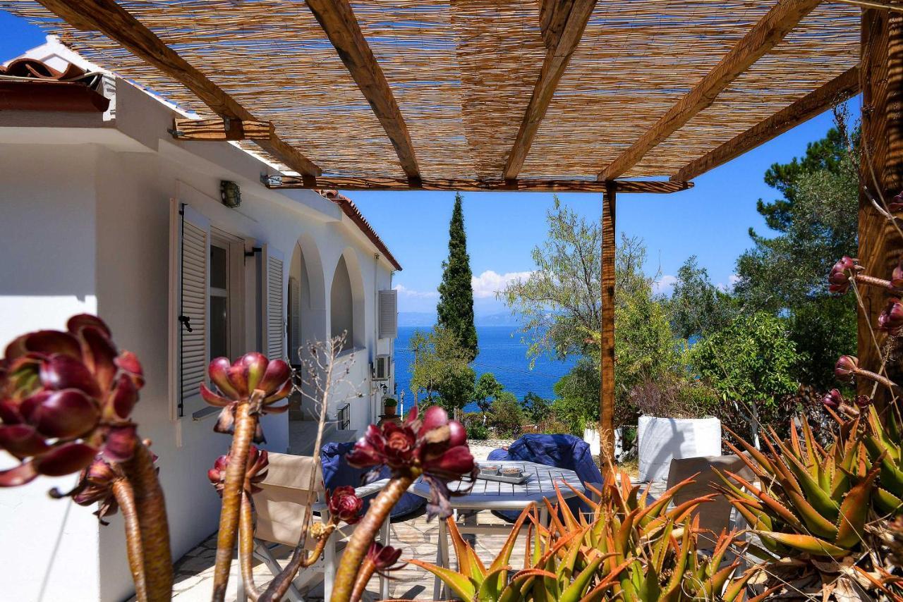 New! Paxoswhite Sea View Apartments & Studios! Gaios Buitenkant foto